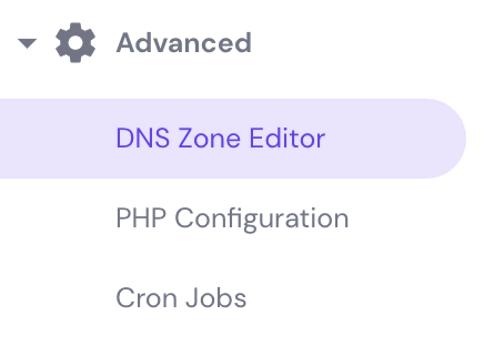 DNS Zone Editor