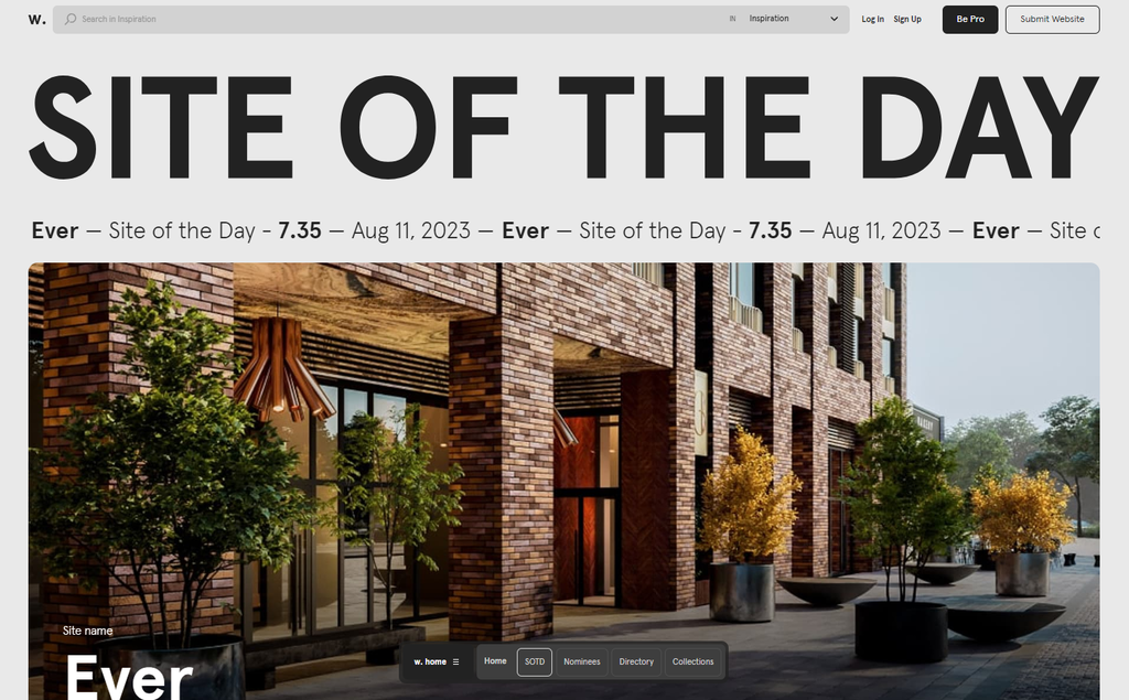 voorbeeld van Awwwards site of the day
