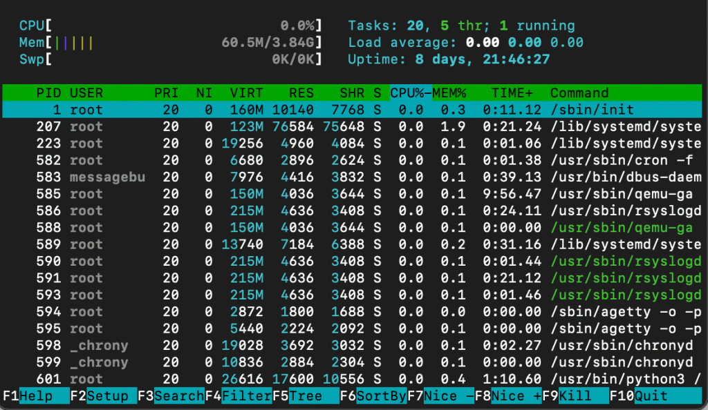 Weergave van het gebruik van een htop command
